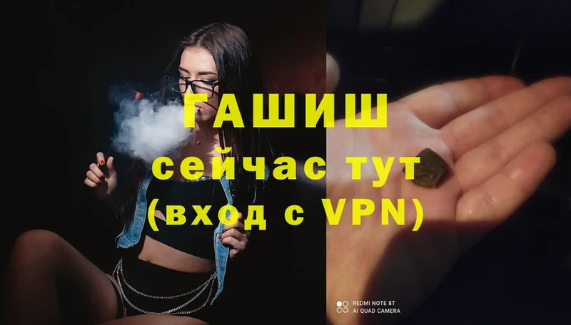 ГАШ Premium  Инта 